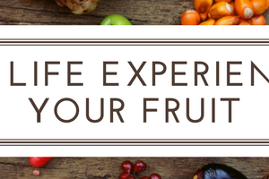 Life Experience | Dallas Whole Life Counseling