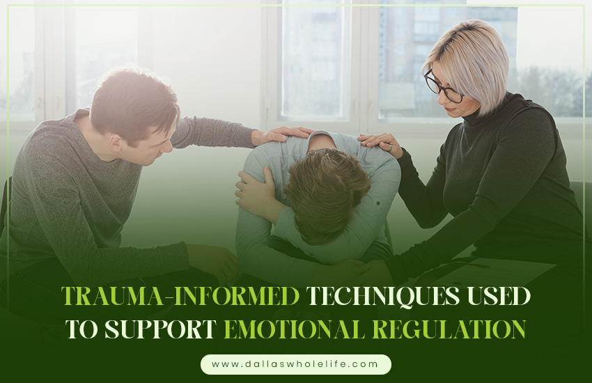 Trauma-Informed Techniques Used to Support Emotional Regulation