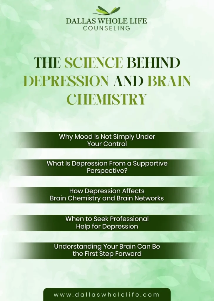How Depression Affects Brain Chemistry and Brain Networks